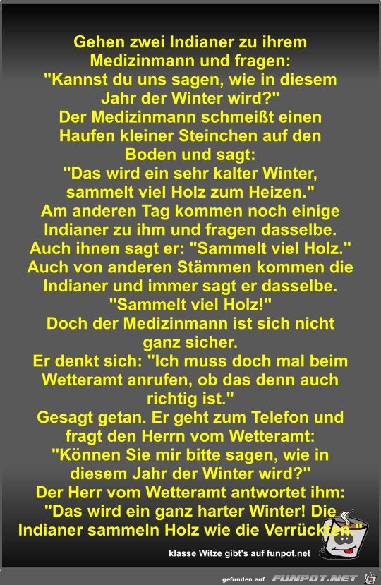 Gehen zwei Indianer zu ihrem Medizinmann und fragen