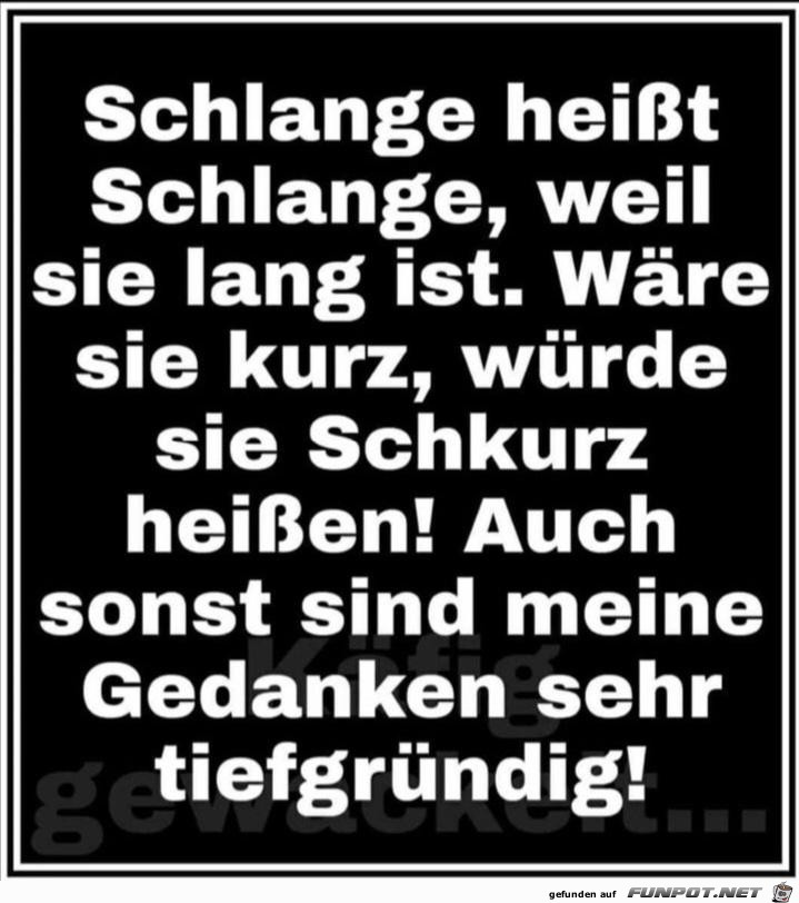 Schlange