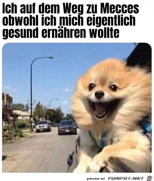 Fahrt zu Mecces