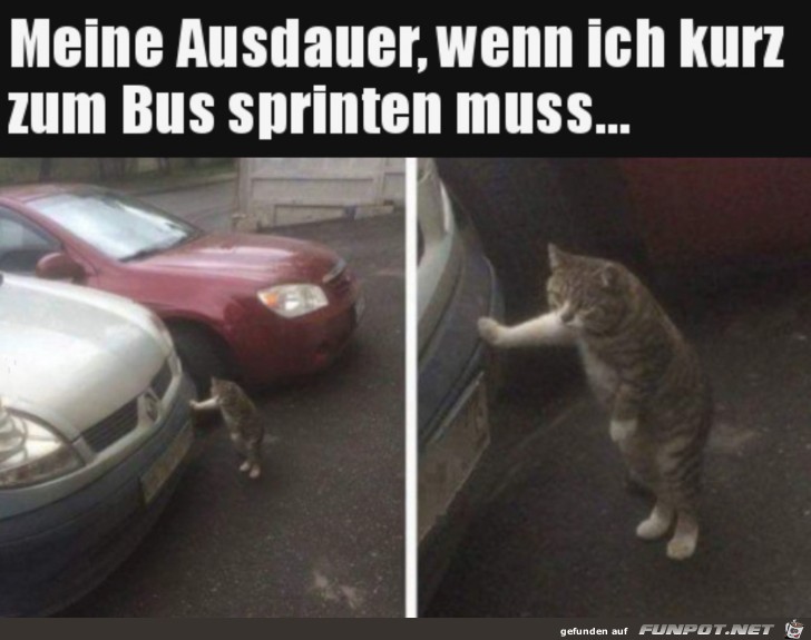 Keine Ausdauer