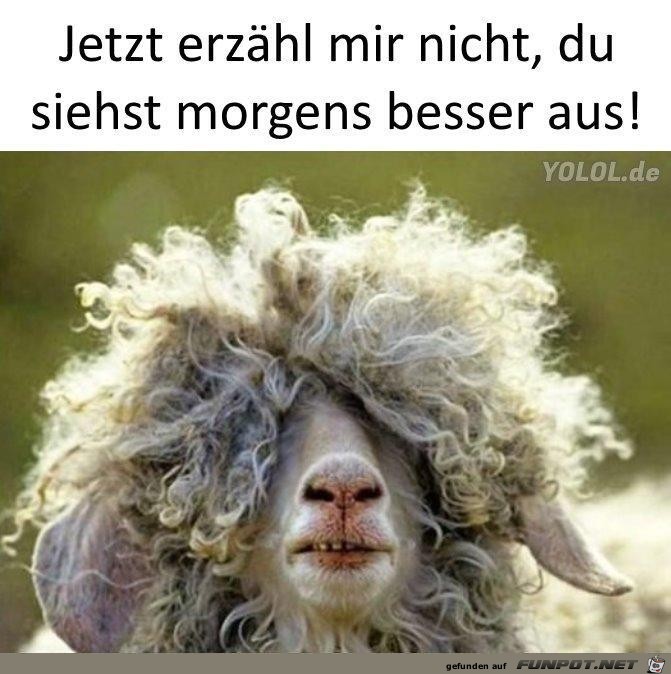 Erzhl mir nicht