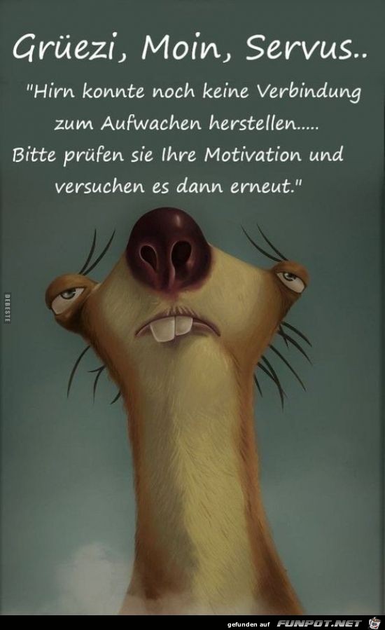 Grezi Moin