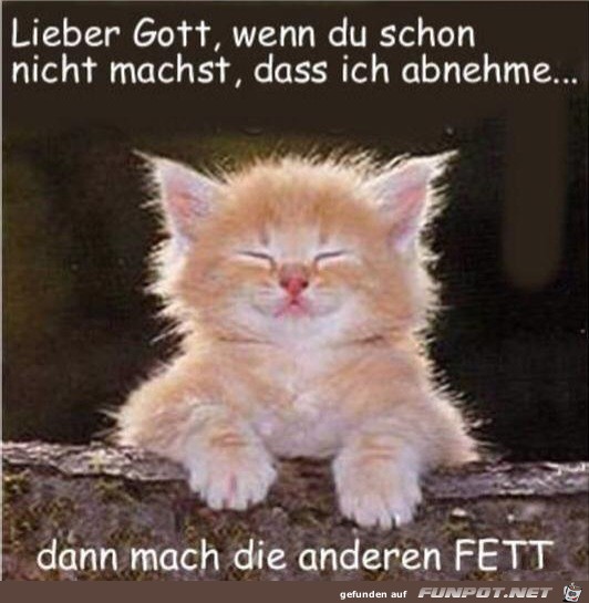 Mach die anderen fett