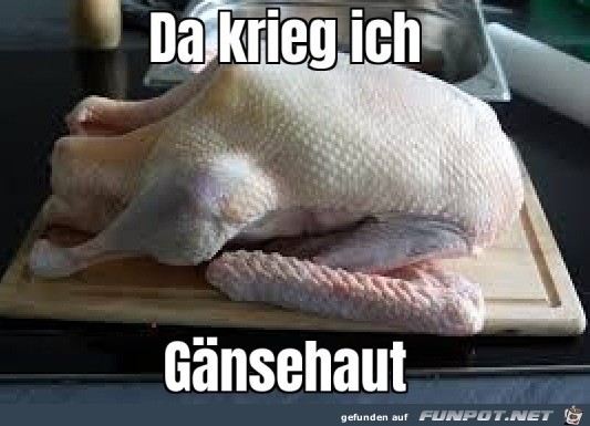 Gnsehaut