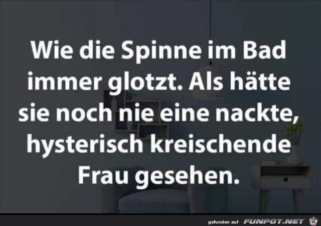 Die Spinne