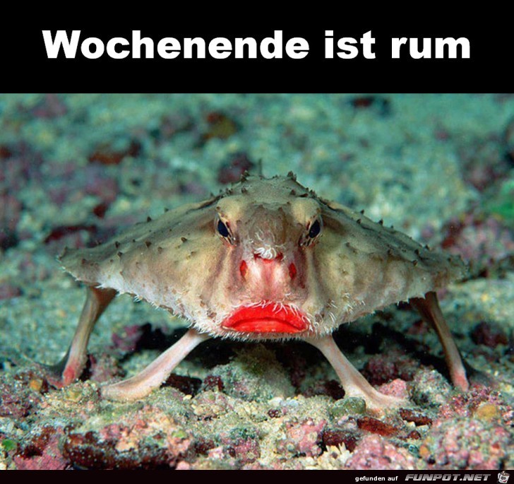 Wochenende ist rum