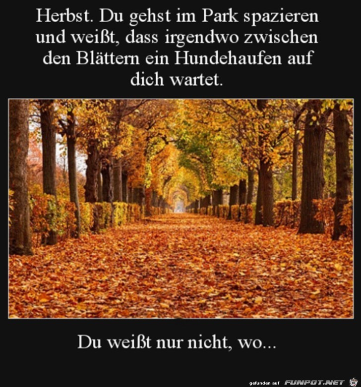 Das ist immer ein Risiko im Herbst