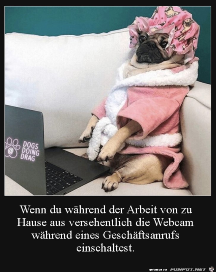 Ausversehen die Webcam eingeschaltet