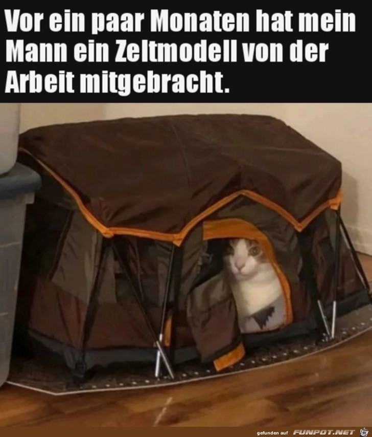 Katze hat Zelt anektiert