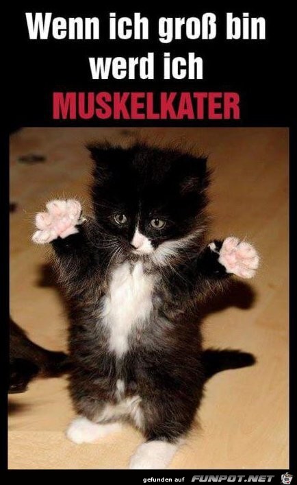 Muskelkater