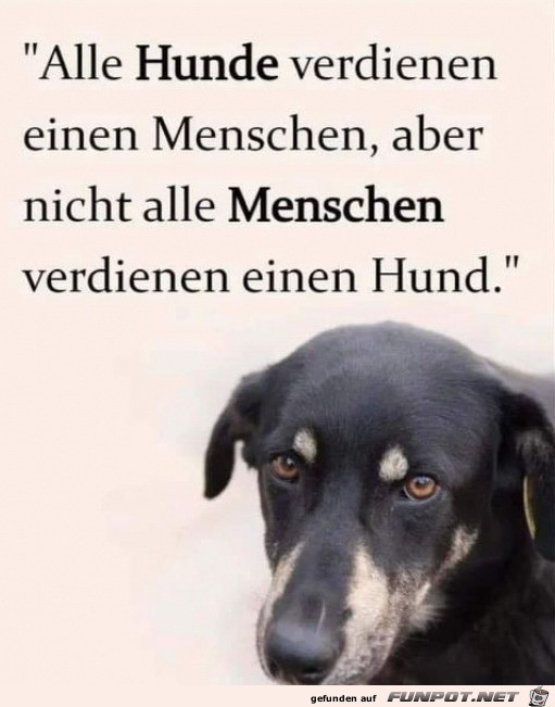 Hunde