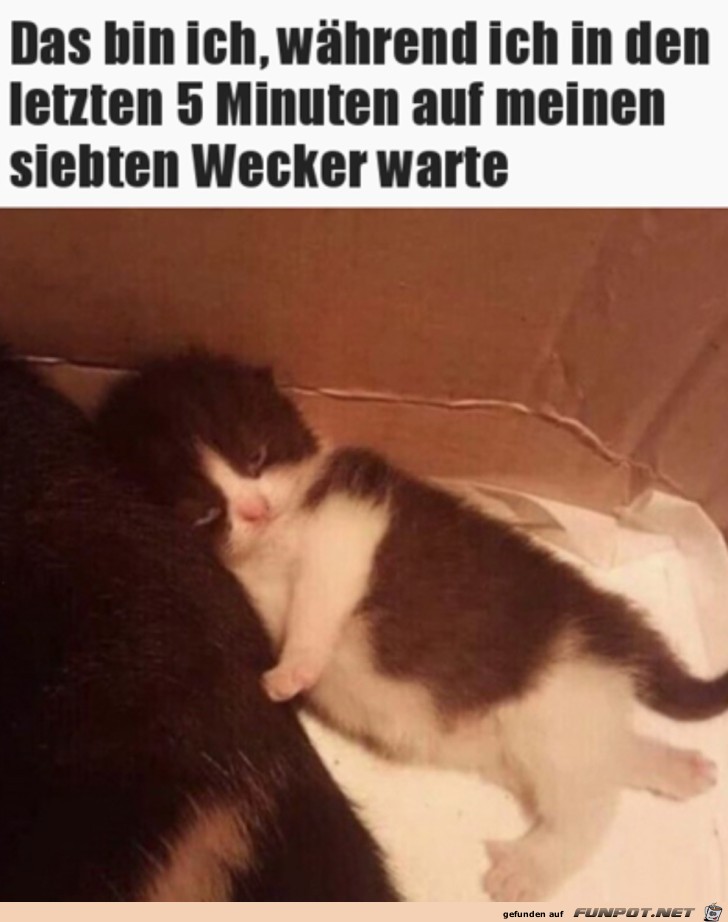 witzige Bilder aus verschiedenen Blogs