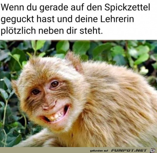 Beim Spickeln erwischt