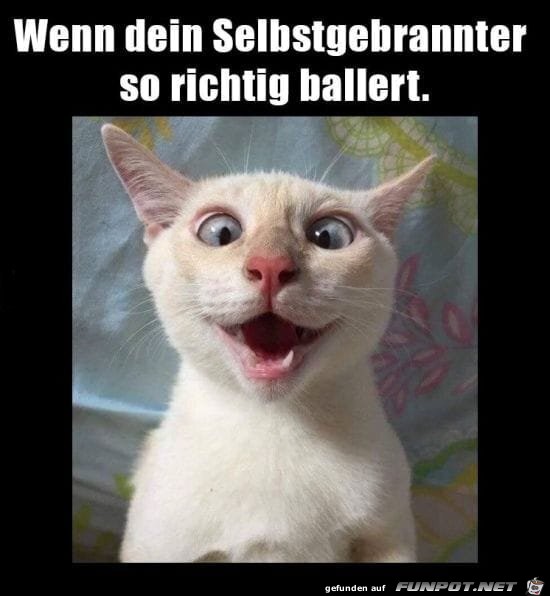 Selbstgebrannter