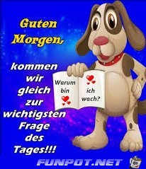 wichtige Frage wichtige Frage