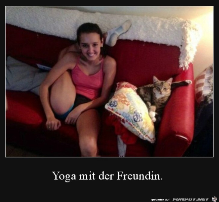 Yoga mit der Katze