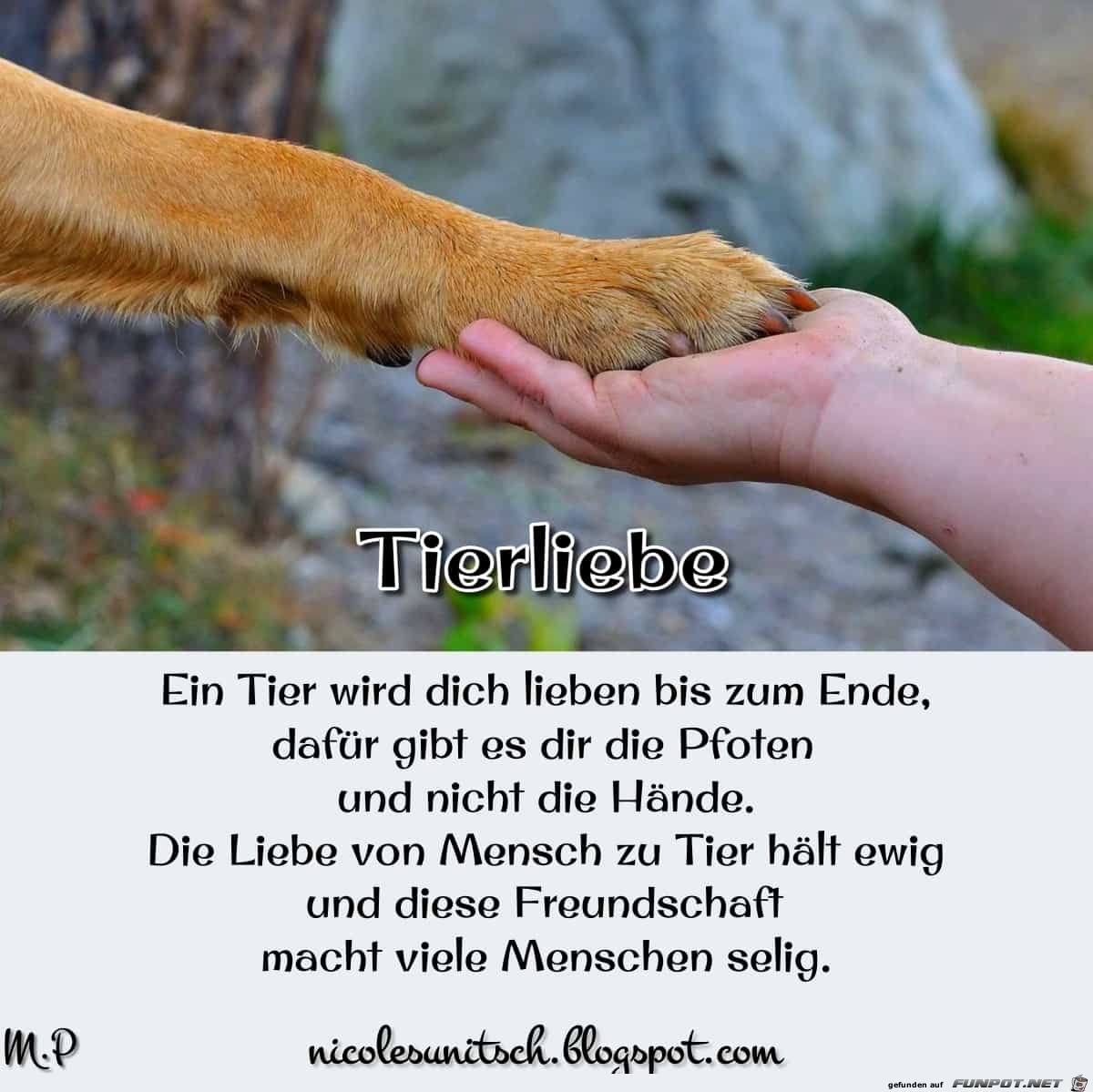 Tierliebe