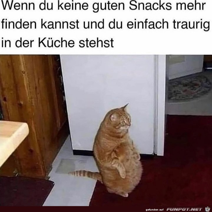 Das ist enttuschend