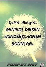 Sonntag