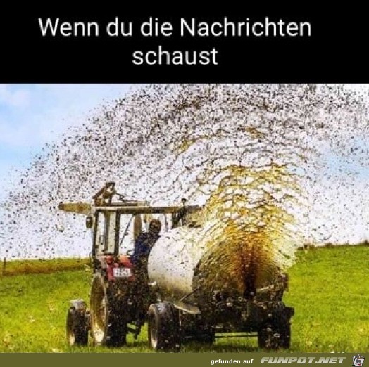 Wenn man Nachrichten schaut