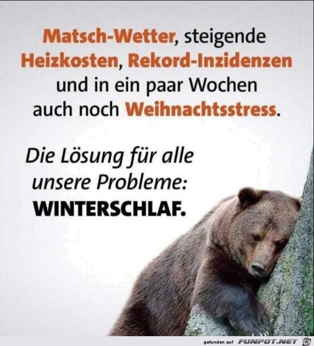 Winterschlaf