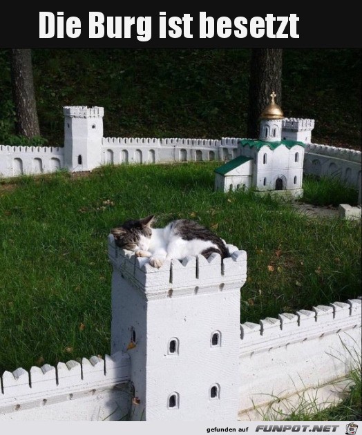 Burg ist besetzt