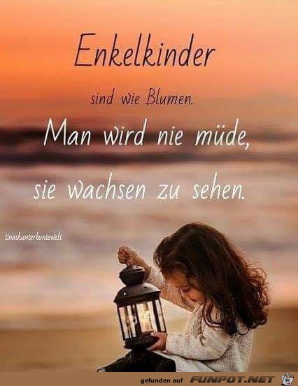 Enkelkinder sind wie Blumen