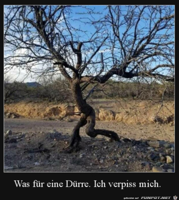 Eine Drre