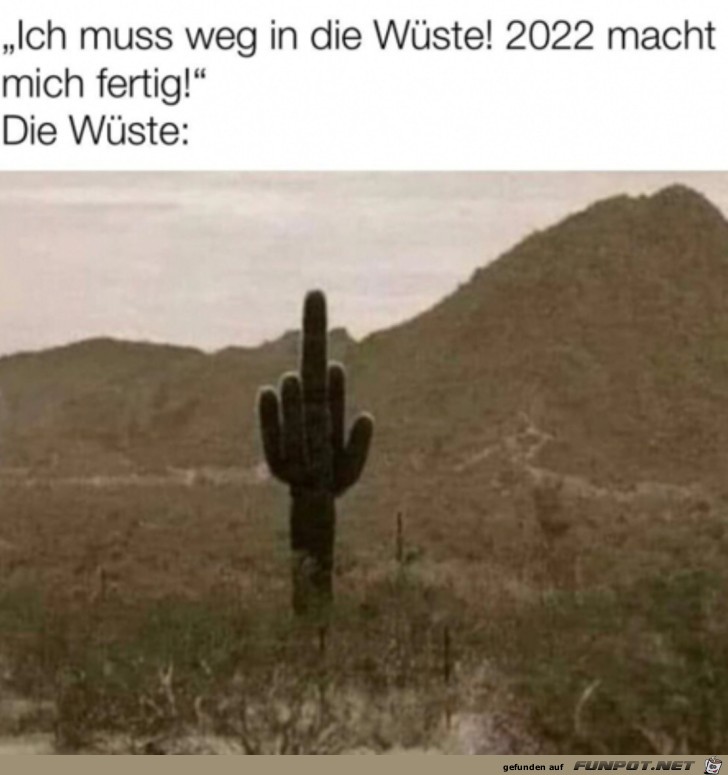 Die Wste gibt dir ein Zeichen