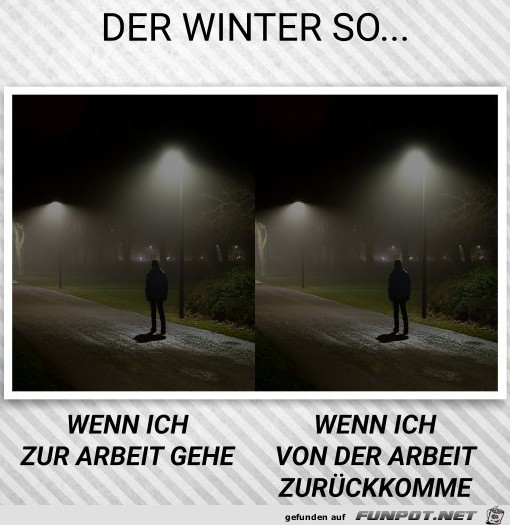 Der Winter so...