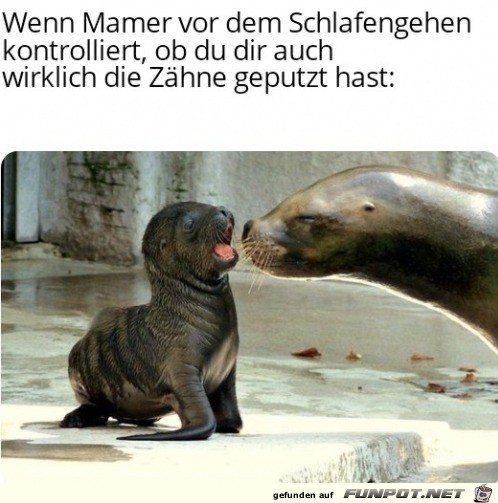 witzige Bilder aus verschiedenen Blogs