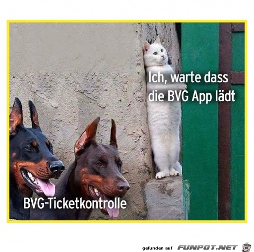 Handy-App ldt nicht