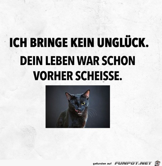 witzige Bilder aus verschiedenen Blogs