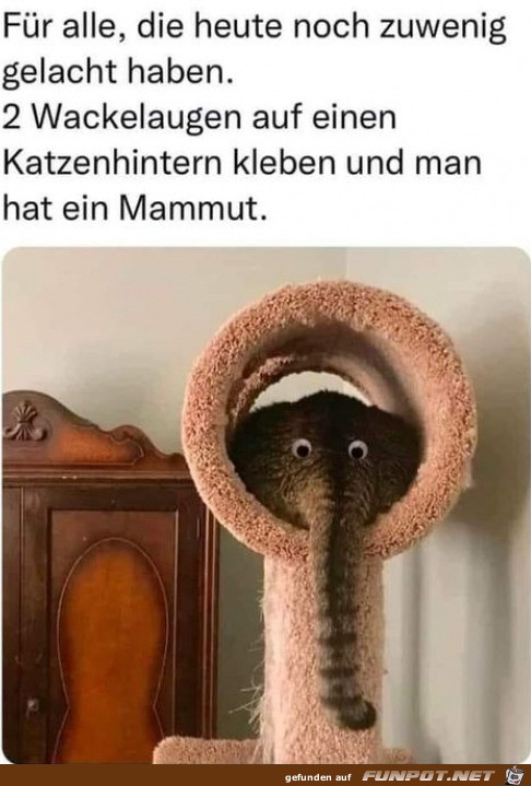 Lustiger Elefant