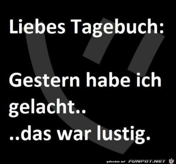 Liebes Tagebuch