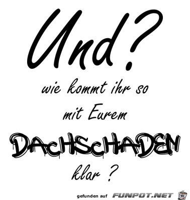 Dachschaden Dachschaden