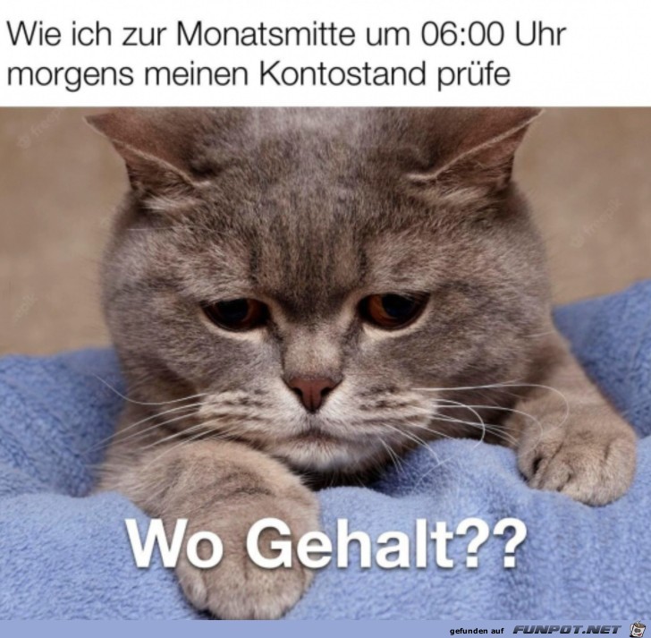 Wo ist mein Gehalt?