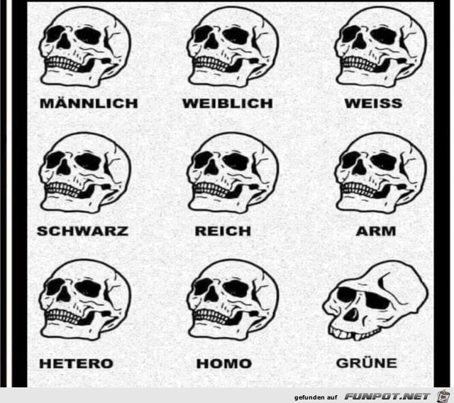 Grüne Grüne