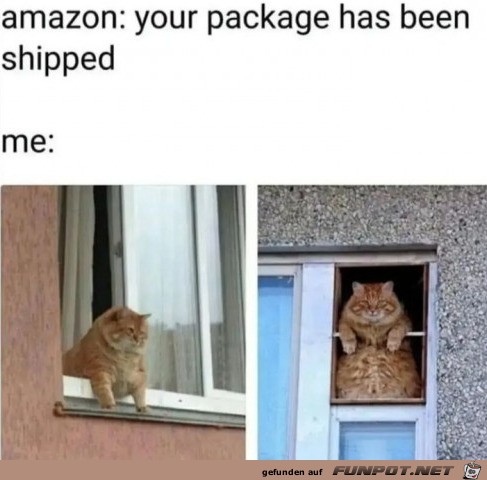 Wenn mein Paket unterwegs ist