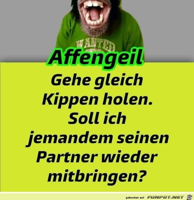 Affengeil