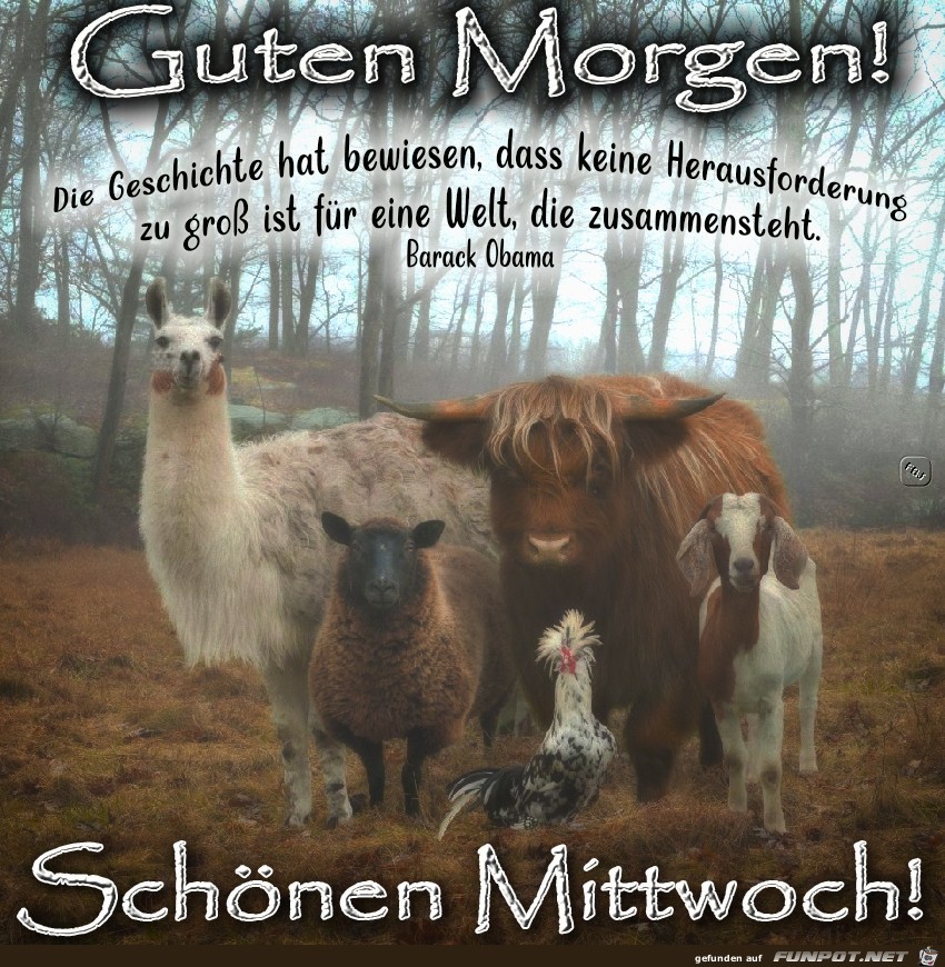 Mittwoch