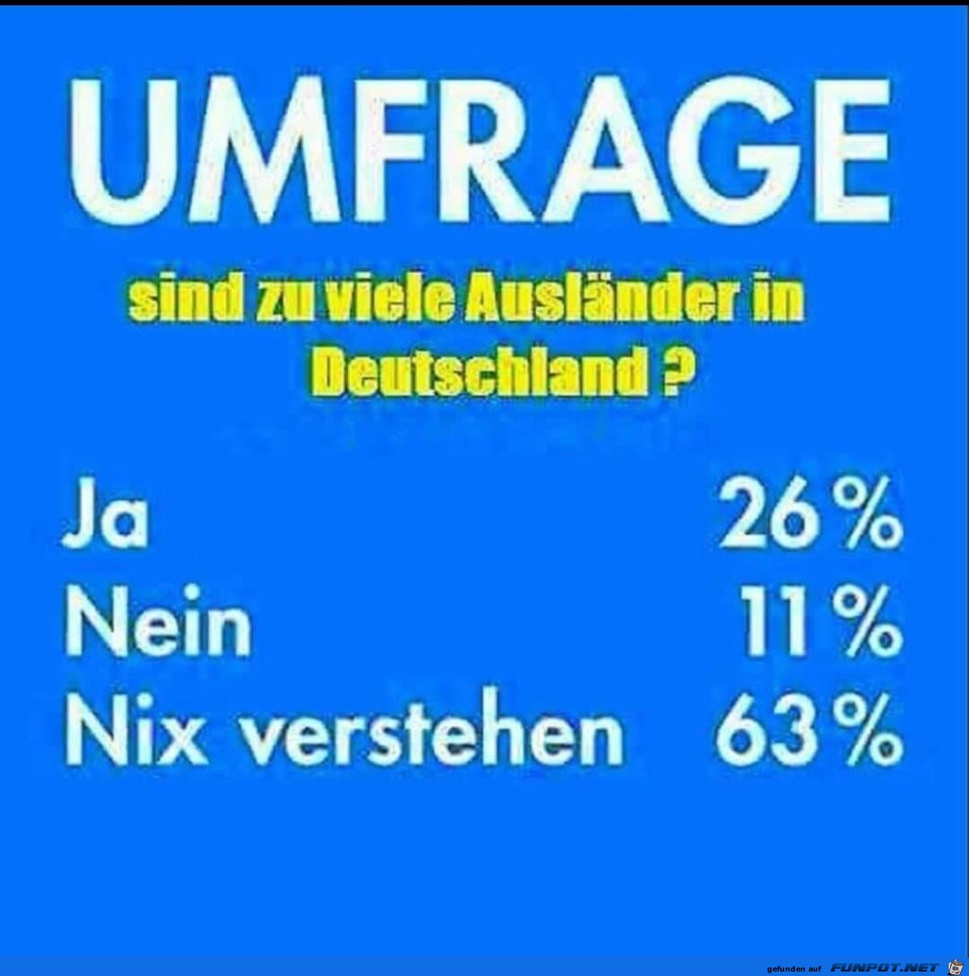 Umfrage.jpg