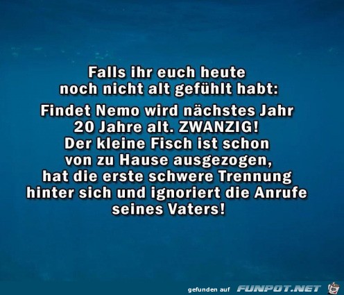 Nemo wird 20