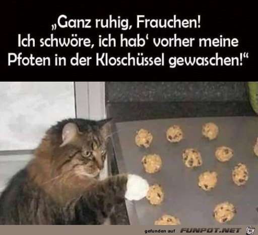 Ich hab die Pfoten gewaschen