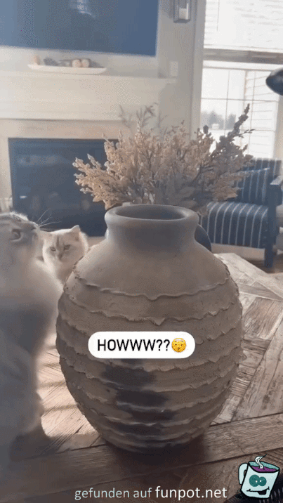 Katze in Vase