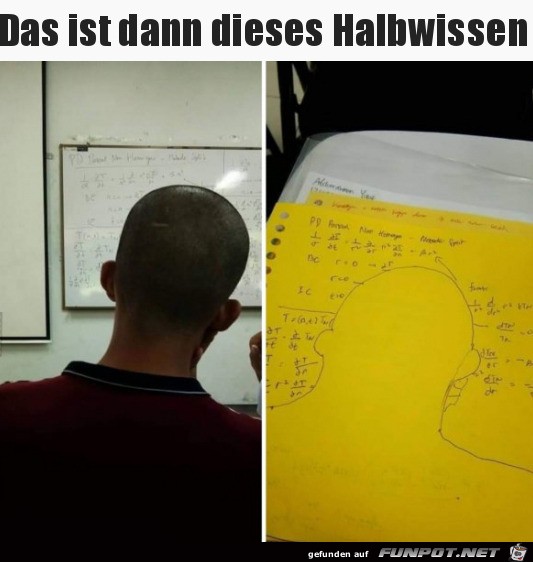 Halbwissen