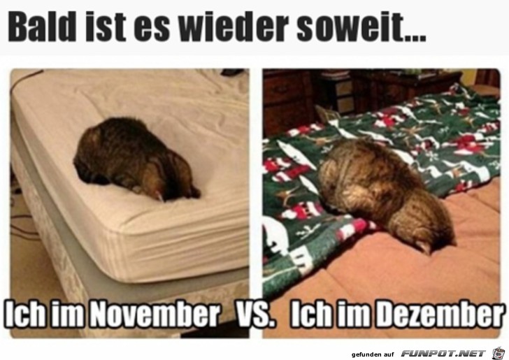 Bald ist es wieder soweit