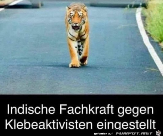 Indische Fachkraft