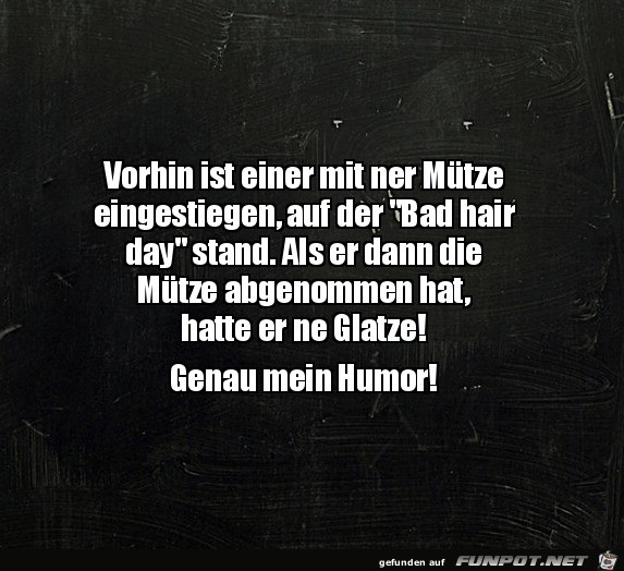 Genau mein Humor