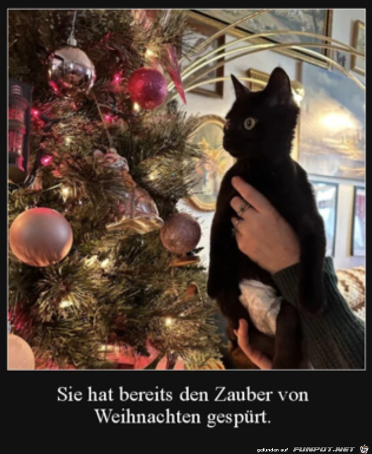 Der Zauber von Weihnachten